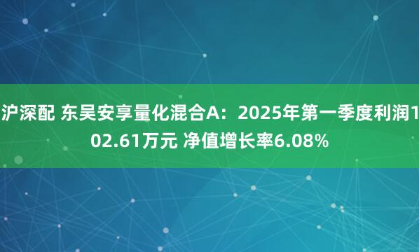 沪深配 东吴安享量化混合A：2025年第一季度利润102.61万元 净值增长率6.08%