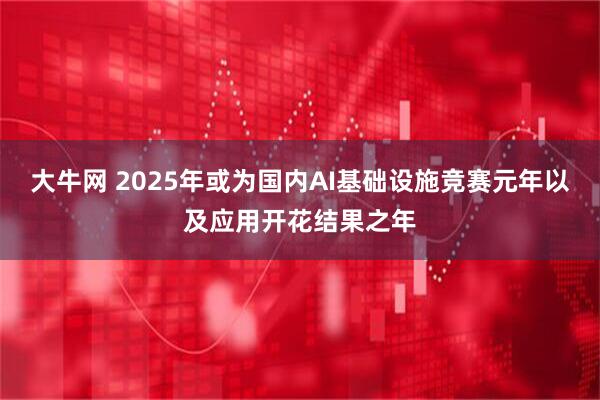 大牛网 2025年或为国内AI基础设施竞赛元年以及应用开花结果之年