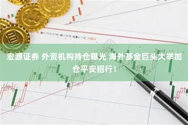 宏源证券 外资机构持仓曝光 海外基金巨头大举加仓平安招行！
