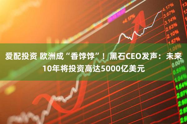 爱配投资 欧洲成“香饽饽”！黑石CEO发声：未来10年将投资高达5000亿美元