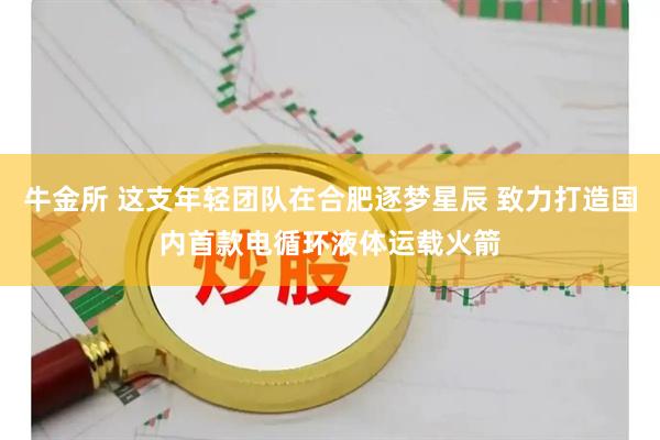 牛金所 这支年轻团队在合肥逐梦星辰 致力打造国内首款电循环液体运载火箭