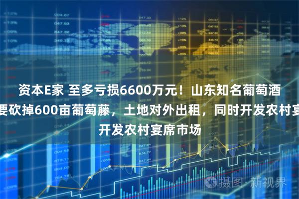 资本E家 至多亏损6600万元！山东知名葡萄酒公司，要砍掉600亩葡萄藤，土地对外出租，同时开发农村宴席市场