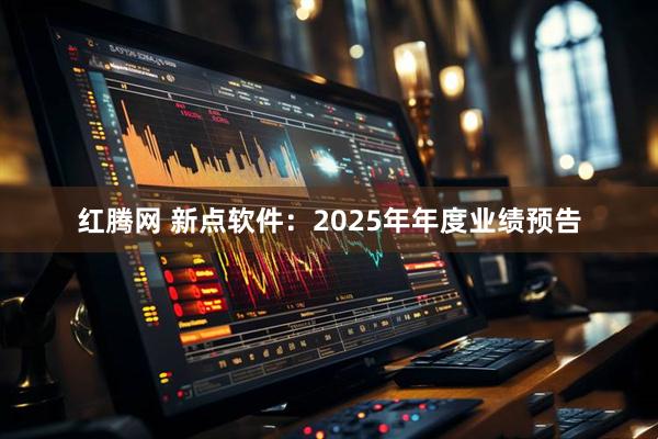 红腾网 新点软件：2025年年度业绩预告