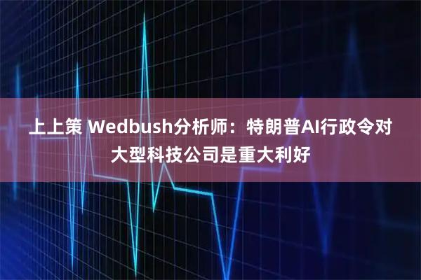 上上策 Wedbush分析师:特朗普AI行政令对大型科技公司是重大利好