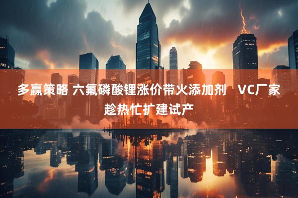 多赢策略 六氟磷酸锂涨价带火添加剂   VC厂家趁热忙扩建试产